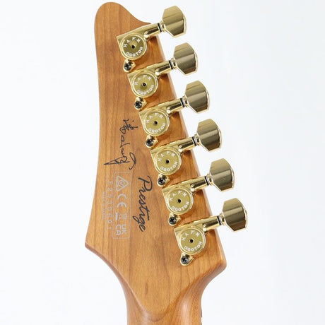 GF1-TFB_(Tri_Fade_Burst)_[GaoFunk_Model___Limited_Model]_09