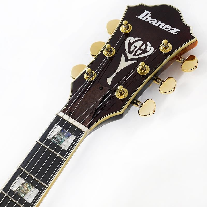 LGB30-VYS_[George_Benson_Model]_【Damaged_Slightly_Damaged】_09