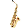 [Selected_by_Hiroyuki_Matsui]_[Selection_fee_waived!]_Alto_Saxophone_Buffet_Crampon_Prodige_BC8301-1_[Shipped_after_adjustment_&_setup]_[5_years_of_free_key_balance_adjustment]_01