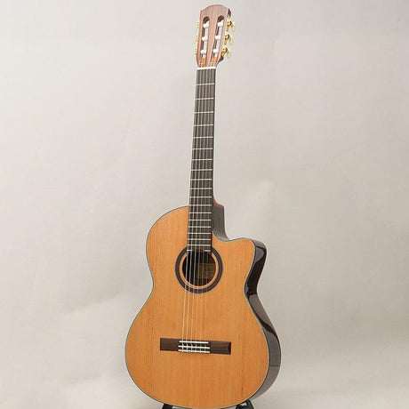 CTM_CE-3D_Select_Cedar_Top_~Ikebe_Original_Order_Model~_K_Yairi_03