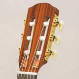CTM_CE-3D_Select_Cedar_Top_~Ikebe_Original_Order_Model~_K_Yairi_11