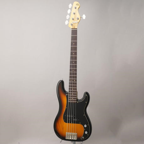 Trad_Master_Series_Beta_P5_(2Tone_Sunburst_Light_Aged)_02