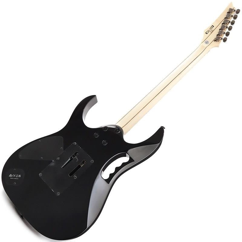 JEM77P-BFP_(Blue_Floral_Pattern)_[Steve_Vai_Model]_03