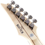 JEM77P-BFP_(Blue_Floral_Pattern)_[Steve_Vai_Model]_09