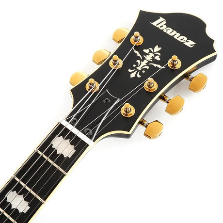 ARTSTAR_PM3C-BKL_(Black_Low_Gloss)_[Pat_Metheny_Model]_【Special_Price】_07