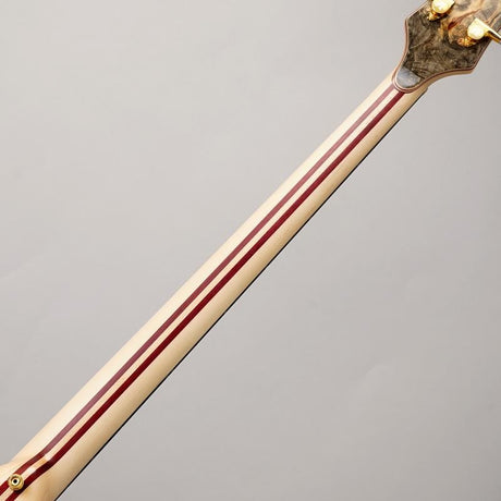 SCSB4_Buckeye_Resin_[Stanley_Clark_Signature_Deluxe_w_Side_LED's_Blue]_06