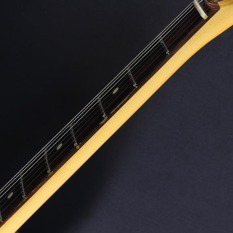 USED_​​70th_Anniversary_American_Professional_II_Stratocaster_(Comet_Burst_Rosewood)_07
