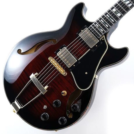 ARTSTAR_AMH100FM-DVS_(Dark_Violin_Sunburst)_[SPOT_MODEL]_[Special_Price]_01