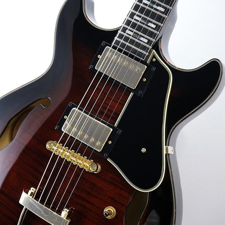 ARTSTAR_AMH100FM-DVS_(Dark_Violin_Sunburst)_[SPOT_MODEL]_[Special_Price]_04