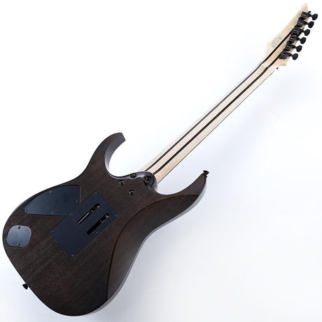 j_custom_RG8620AH-BQZ_(Black_Quartz)__Special_price_due_to_fretboard_discoloration_03