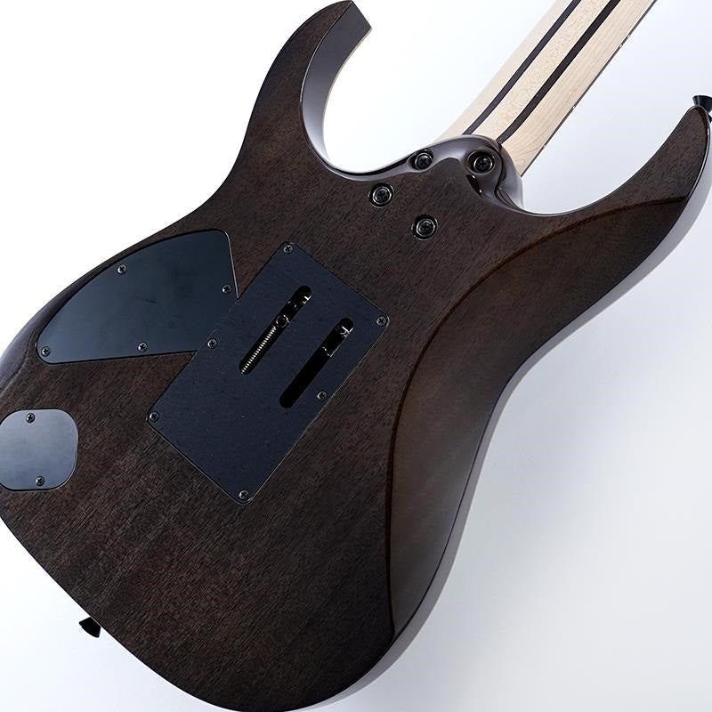j_custom_RG8620AH-BQZ_(Black_Quartz)__Special_price_due_to_fretboard_discoloration_08