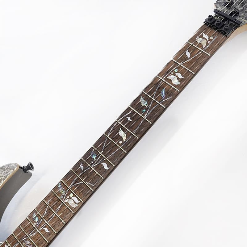 j_custom_RG8620AH-BQZ_(Black_Quartz)__Special_price_due_to_fretboard_discoloration_11