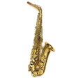 USED_​​Yanagisawa_Alto_Saxophone_A-WO1_S_N_403xx0_[Shipped_after_adjustment_&_setup]_[5_years_of_free_key_balance_adjustment]_01