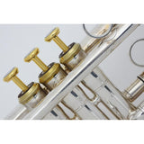USED_​​XO___RV-S_#200__2_[Bb_Trumpet]_04
