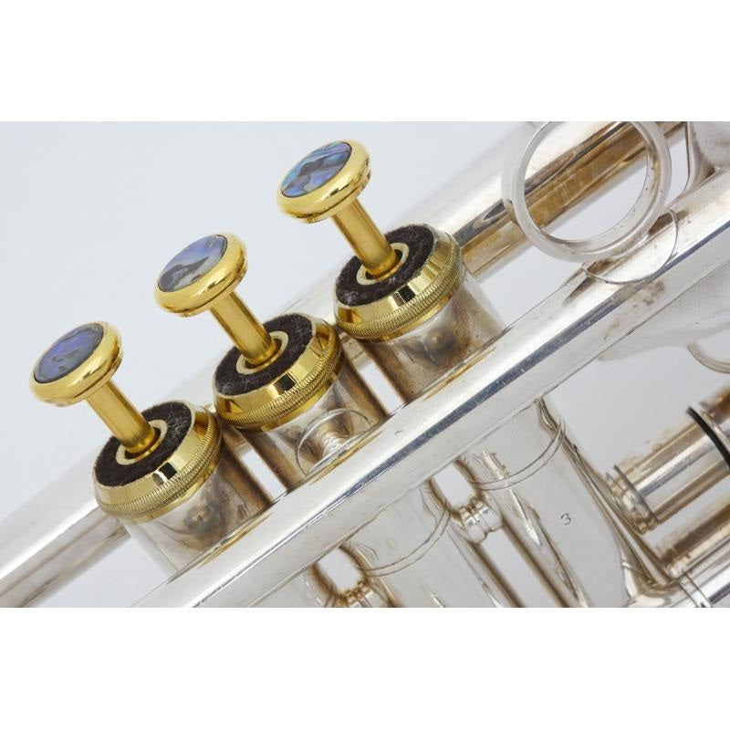 USED_​​XO___RV-S_#200__2_[Bb_Trumpet]_08