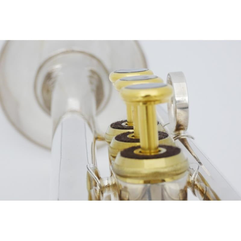 USED_​​XO___RV-S_#200__2_[Bb_Trumpet]_09