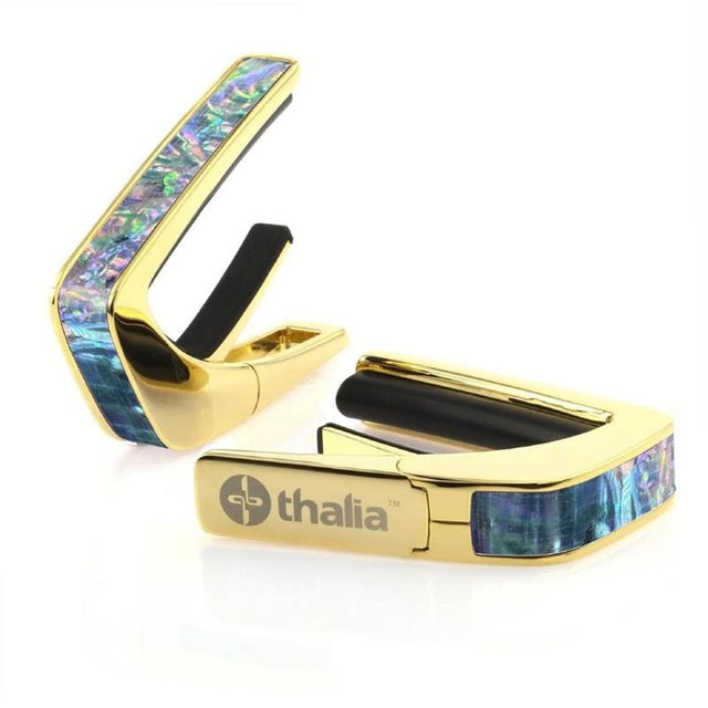 [New_Product]_Exotic_Shell_Series_24KG_Prism_Abalone_Thalia_Capo_01