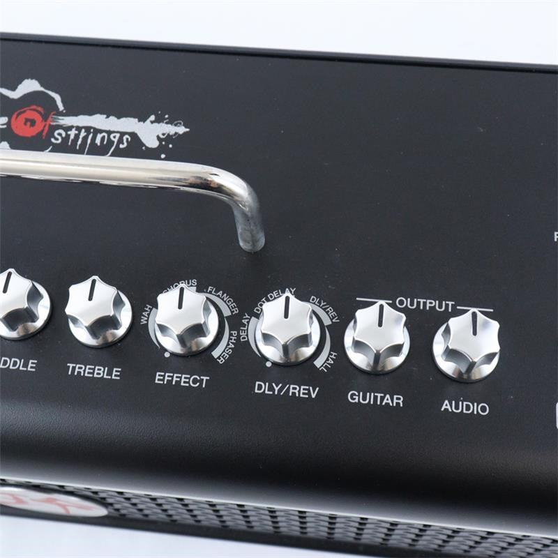 USED_​​THR30II_Wireless_TAK_MATSUMOTO_(YAMAHA)_03