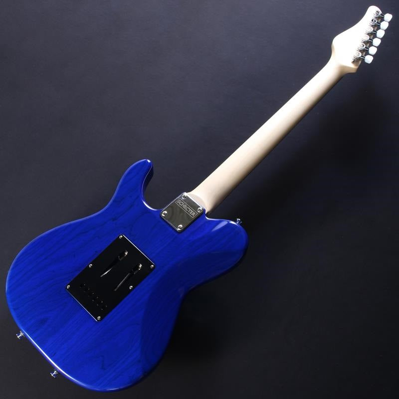 PT-24-CTM-VTR (Trans Purple Burst/Ebony) [Sound Messe 2026 Special