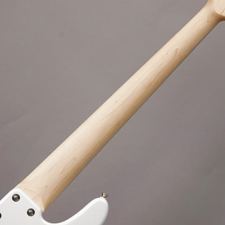 Hermes_Series_RV5_(Snowflake_White_Pearl)_06