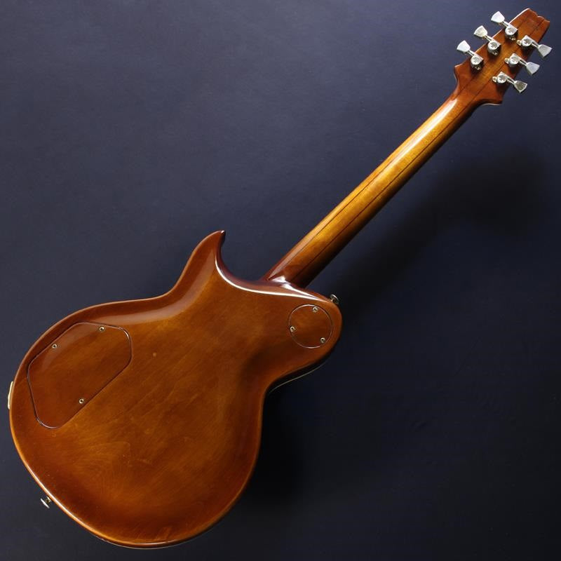 VINTAGE PE-R150 25th Anniversary by Aria ProII – Ikebe Musical