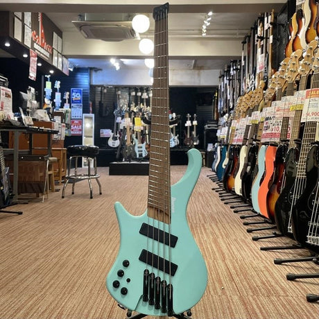 Bass_Workshop_EHB1005MSL-SFM_[Special_Price]_02