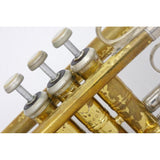USED_​​Bach_180ML37_25_GL_#160__5_[Bb_Trumpet]_04