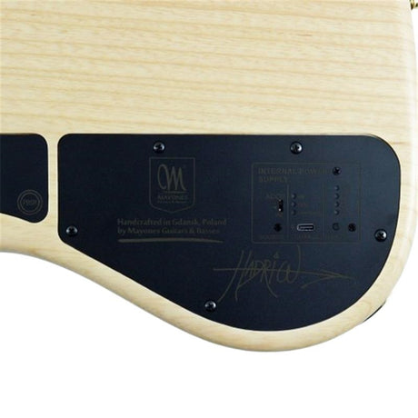Jabba_HF_Fretless_5_[Hadrien_Feraud_Signature_Model]_09