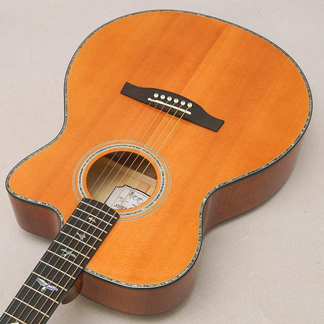 USED_​​A50E_Angelus_Paul_Reed_Smith_05