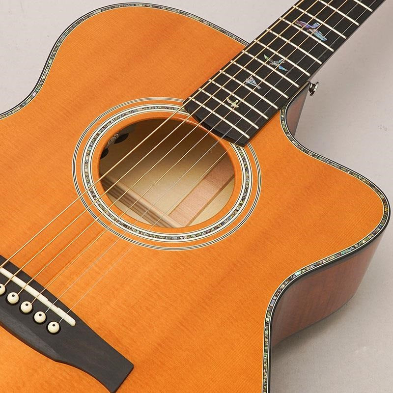 USED_​​A50E_Angelus_Paul_Reed_Smith_07