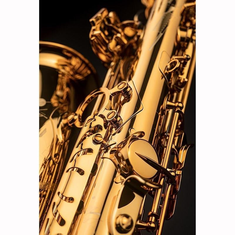 [Selected_by_Jerome_Laran]_Selmer_Signature_Alto_Saxophone_DARK_SL_(Dark_Signature_Lacquer)_[Selection_Fee_Included!!]_[Shipped_After_Adjustment_&_Setup]_[Free_Key_Balance_Adjustment_for_5_Years]_07