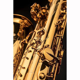 [Selected_by_Jerome_Laran]_Selmer_Signature_Alto_Saxophone_DARK_SL_(Dark_Signature_Lacquer)_[Selection_Fee_Included!!]_[Shipped_After_Adjustment_&_Setup]_[Free_Key_Balance_Adjustment_for_5_Years]_07