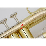 Besson___BE120-1-0_PRODIGE_[Bb_Cornet]_[Brand_New，_Slightly_Damaged，_Super_Special_Price!!]_03