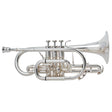 Besson___BE928GT-2-0_Sovereign_[Bb_Cornet]_[Brand_New，_Slightly_Damaged，_Super_Special_Price!!]_01