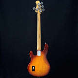 USED_​​Ray34_(Honey_Burst)_04
