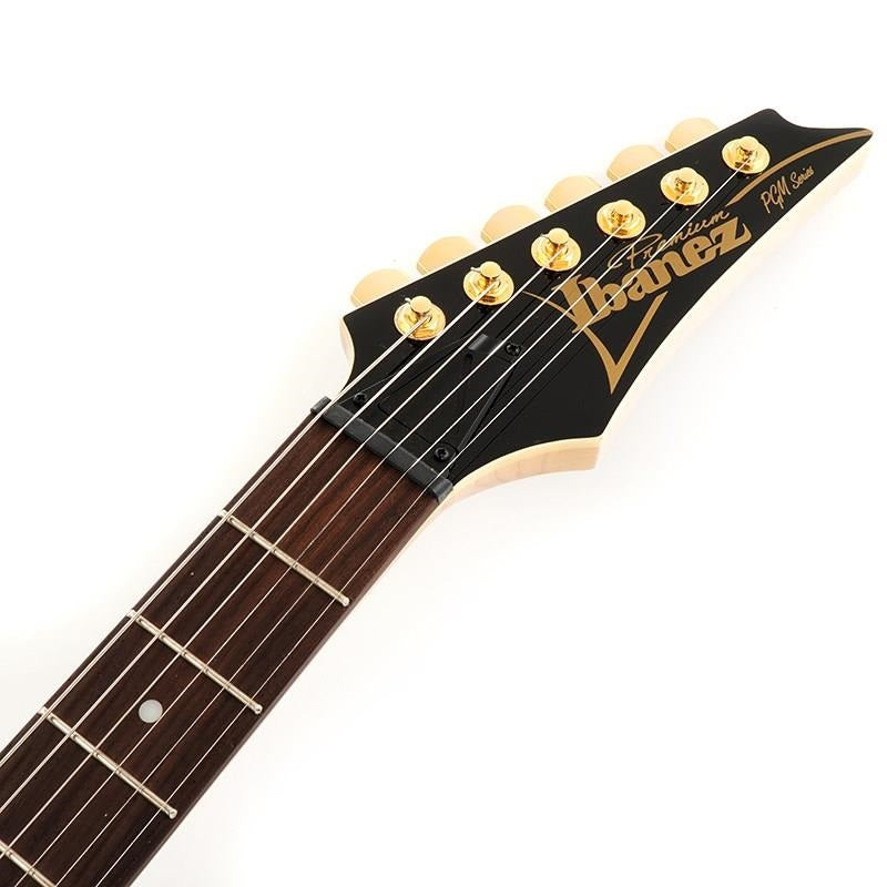 PGM50-BK_[Paul_Gilbert_Signature_Model]_[Special_Price]_07