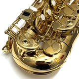 USED_​​Antigua_Alto_Saxophone_Standard_GL_S_N_TAS030xx7_[Shipped_after_adjustment_&_setup]_[5_years_of_free_key_balance_adjustment]_04