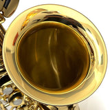 USED_​​Antigua_Alto_Saxophone_Standard_GL_S_N_TAS030xx7_[Shipped_after_adjustment_&_setup]_[5_years_of_free_key_balance_adjustment]_06