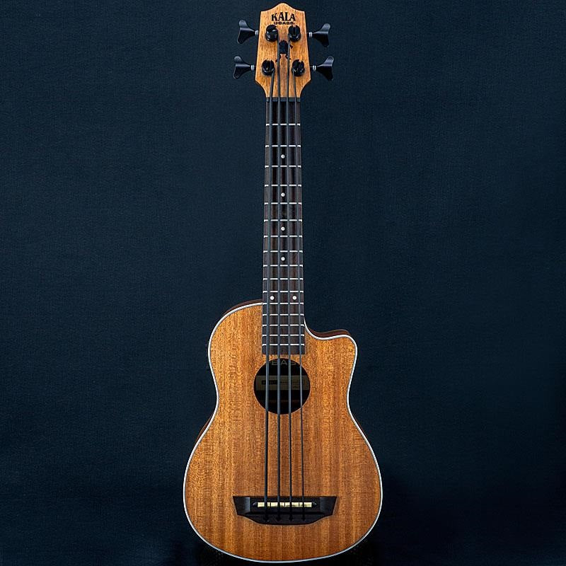 USED_​​UBASS-SCOUT-FS_03