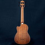 USED_​​UBASS-SCOUT-FS_04