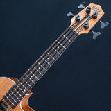USED_​​UBASS-SCOUT-FS_05