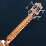 USED_​​UBASS-SCOUT-FS_06
