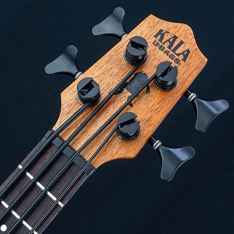 USED_​​UBASS-SCOUT-FS_07
