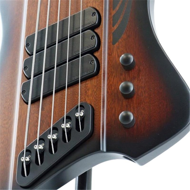 USED_​​D-Roc_Standard_5-string_guitar_(Matte_Vintageburst)_04