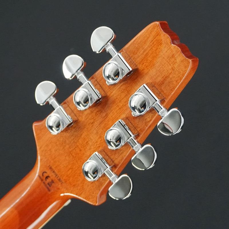 USED_​​PE-AE200_(LRBL)_Aria_Pro_II_08