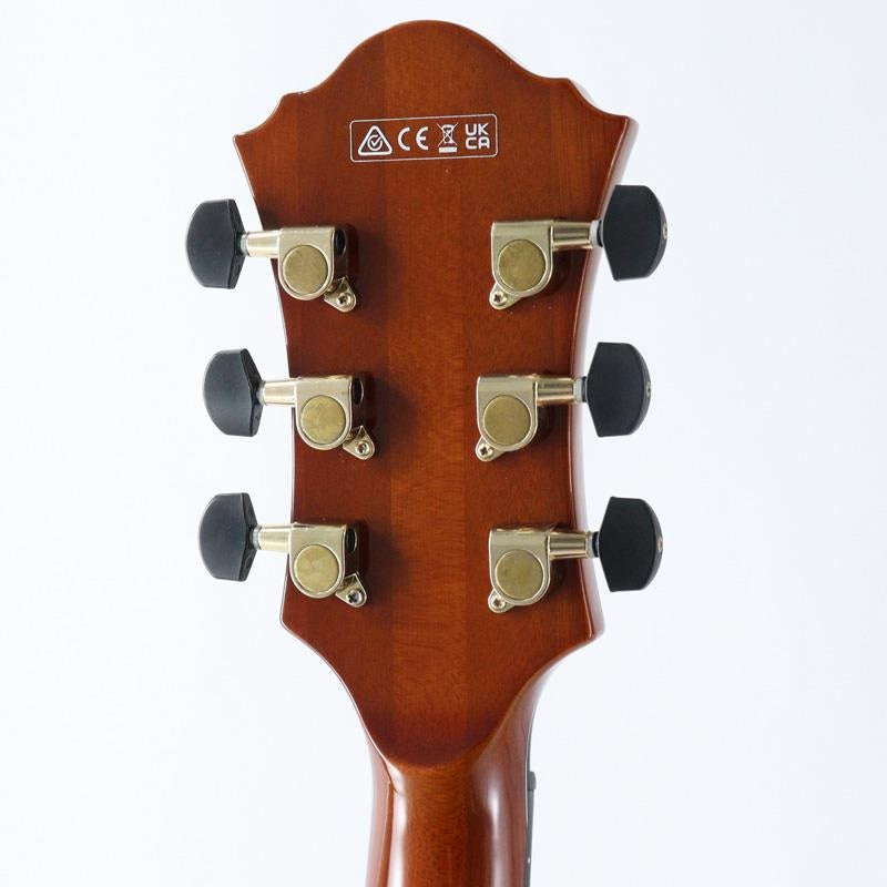 USED_​​AFC151-DA_ARTSTAR_(Dark_Amber)_[SN_PW21091205]_Ibanez_06