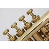 USED_​​Selmer___CL_#52__4_[High_Bb_Piccolo_Trumpet]_04