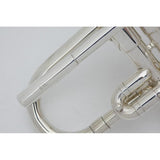 USED_​​Silky_G1L_SP_#15__4_[G_F_Trumpet]_03