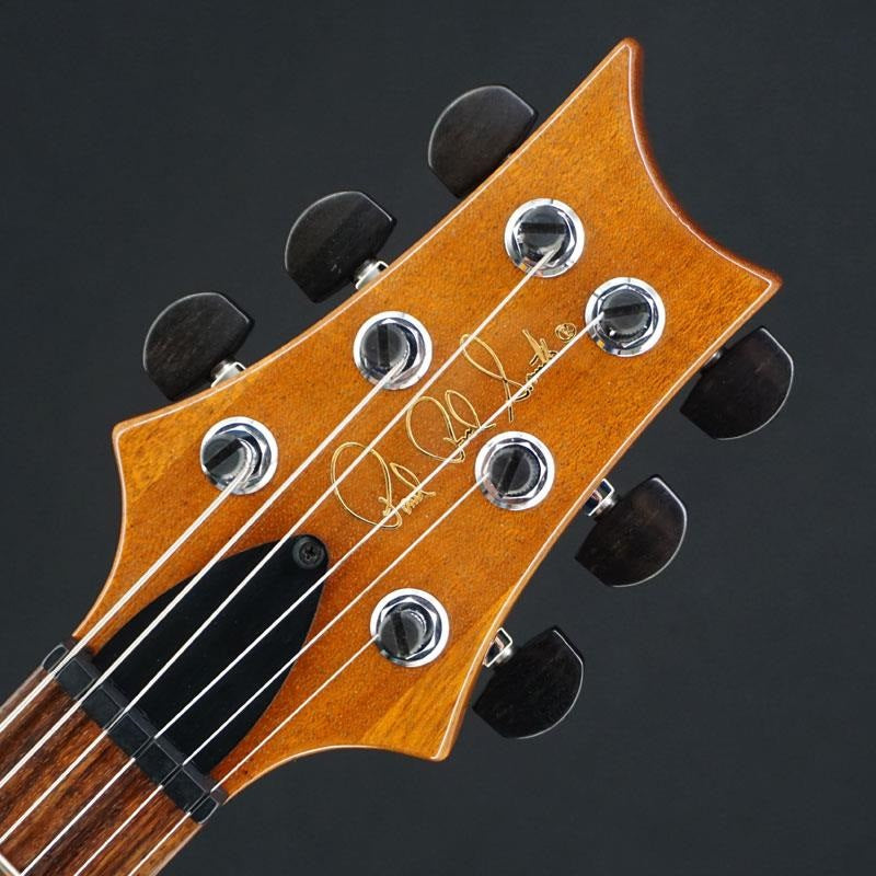 USED_​​2007_Hollowbody_I_Piezo_(Natural)_[SN_7_124089]_Paul_Reed_Smith_07