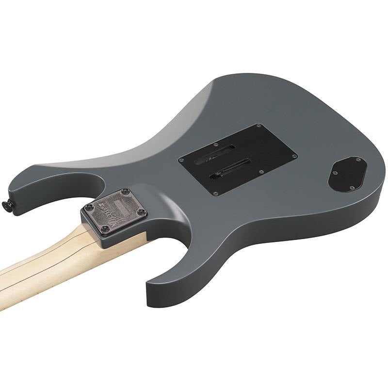 Genesis_Collection_RG550-GRF_(Gray_Metallic_Flat)_[Limited_Model]_04